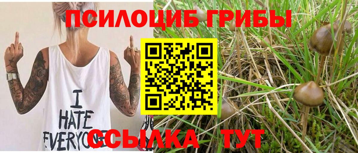 Псилоцибиновые грибы MAGIC MUSHROOMS Якутск