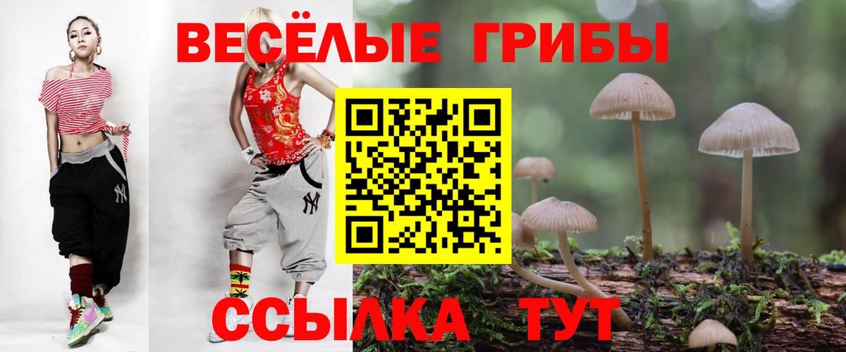 Якутск  Галлюциногенные грибы прущие грибы  Вход с VPN 
